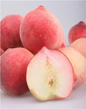 El polvo de jugo de melocotón blanco